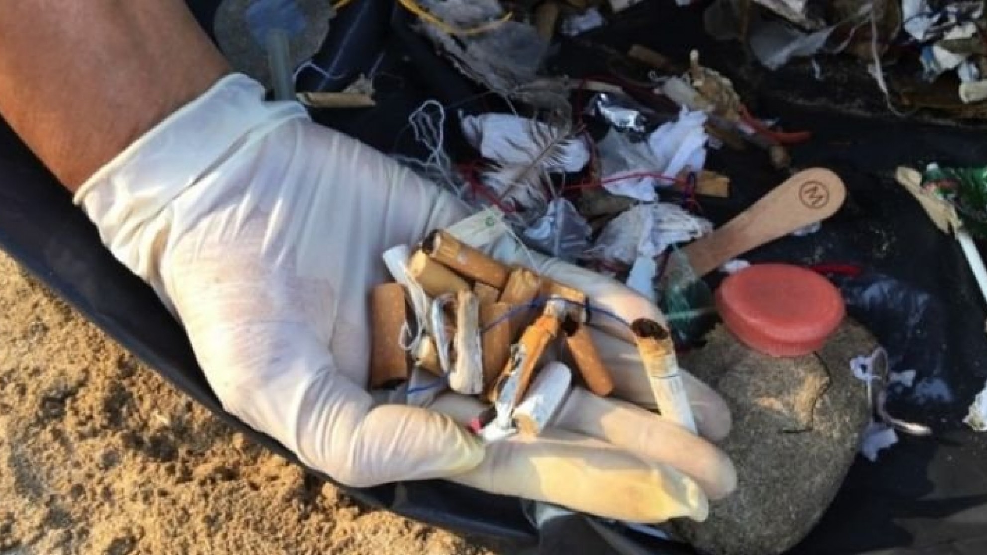 Una gran cantidad de personas, en todo el país, luchan por la limpieza de las playas